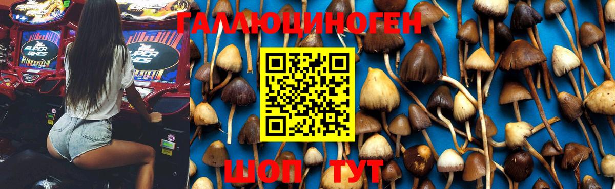Псилоцибиновые грибы мицелий  Вход с VPN  Галлюциногенные грибы MAGIC MUSHROOMS  Зима 